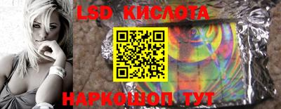 PSILOCYBIN Владивосток