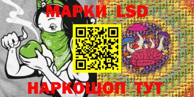 метадон Владимир