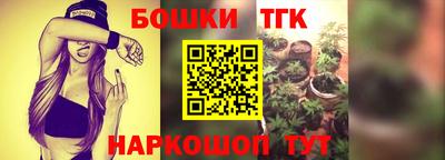 сатива Вязьма