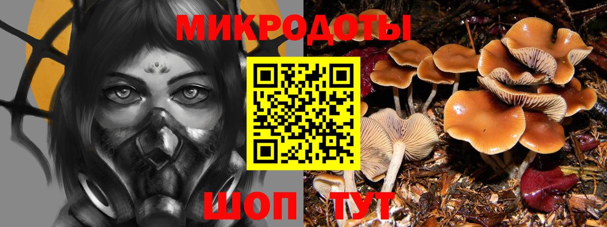 Галлюциногенные грибы MAGIC MUSHROOMS  Галлюциногенные грибы Magic Shrooms  Вход с VPN  Выборг 